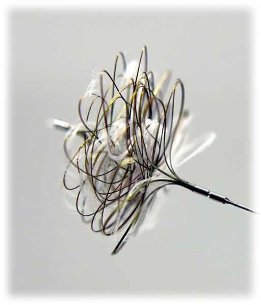 Polyembo Secures Fresh Funding to Advance “Scrunchy” — a Minimalist Fix for a Complex Vascular Problem